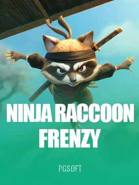 Ninja Raccoon Frenzy